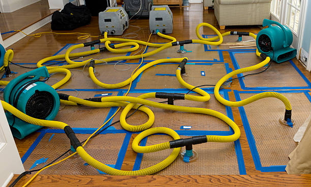 Professional Storm Water Damage Restoration technician working in Greenback, TN